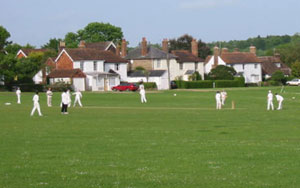 Cricket on the village green